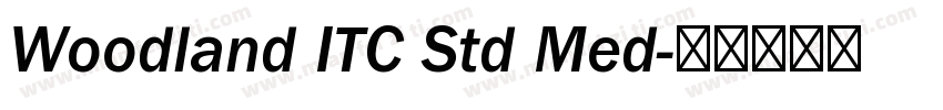Woodland ITC Std Med字体转换